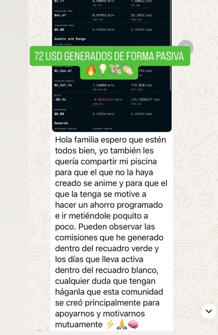 Chat de Miembro de la comunidad